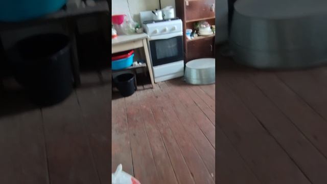 Продам дом. с. Фощеватово, Волоконовский р-н, Белгородская обл. Цена 150000 руб. Тел. 89100309077 смотреть онлайн