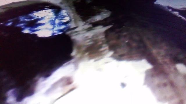 Забытая церковь Валдая. Церковь казанской иконы божьей матери в деревне Русские Новики.