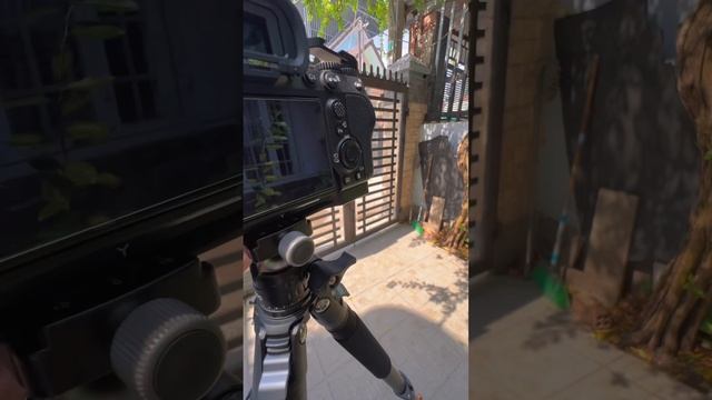 Reviu SmallRig Carbon Fiber AP-10 Tripod Máy ảnh Nhỏ Gọn 4060 смотреть онлайн