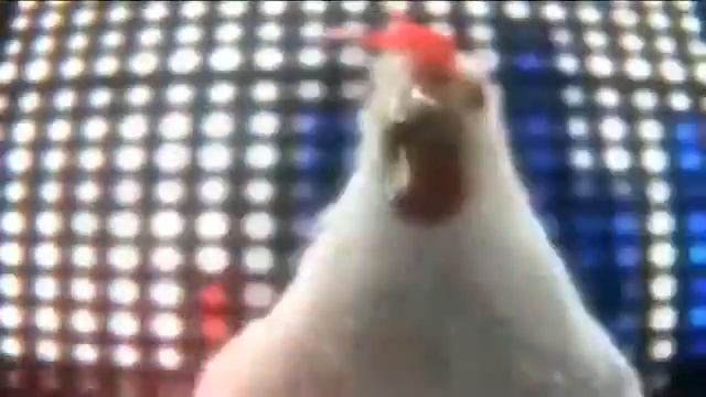 Курица танцует