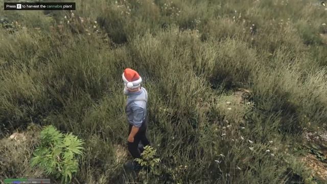 Omer Lala giving skydiving lessons | (trolling people) GTA RP LEGACY INDIA смотреть онлайн