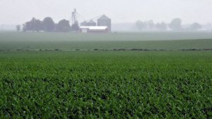 Вьетнам 9 серия «Братоубийство (май 1970 — март 1973)» (документальный сериал, 2017)