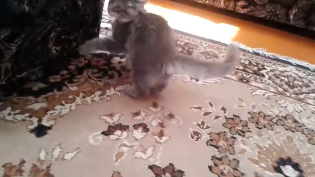 20130624 103050 смотреть онлайн