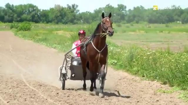 Zhorga Zharys – Nomadic heritage смотреть онлайн