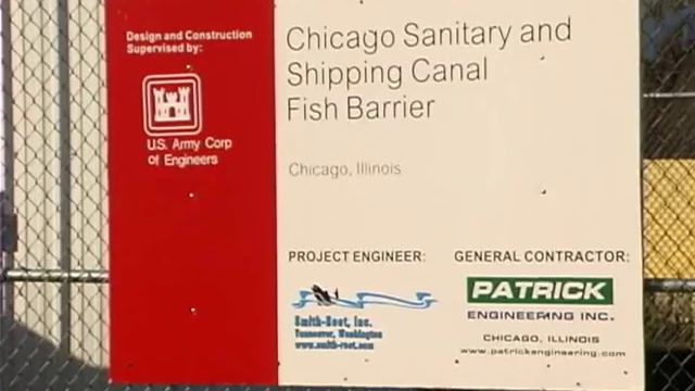 Preventing a Hostile Takeover: Asian Carp + the Great Lakes смотреть онлайн
