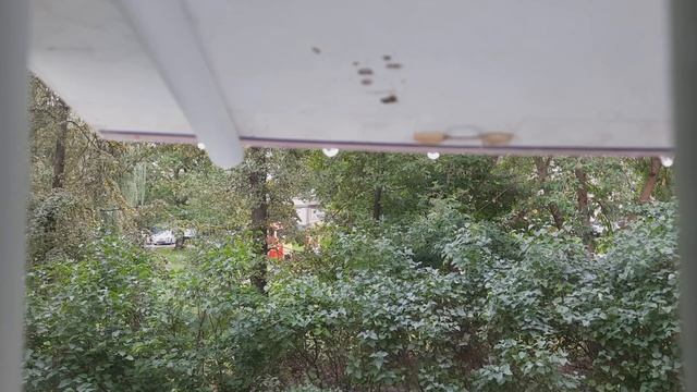 Слив отходов жизнедеятельности на мое окно 2023 08 16 в 08 23 35 смотреть онлайн