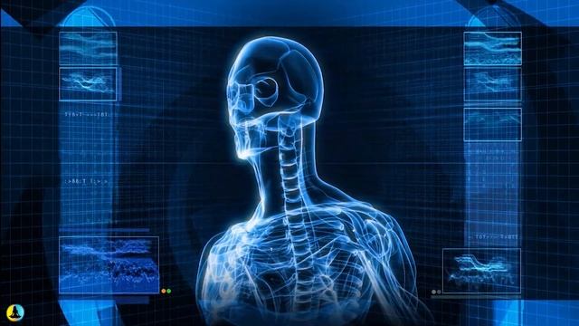 Bilateral Music Therapy: Relieve Stress, Anxiety, PTSD & Nervousness in 1HR • 432Hz Binaural Beats смотреть онлайн