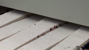 Оборудование для производства пастилы 89374449733