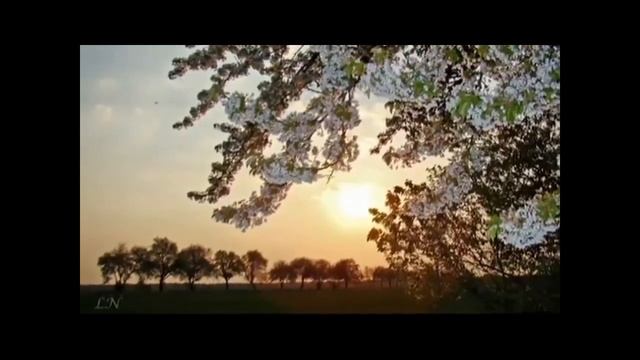 ЛАРИСА БИЛАН СЕРЕНАДА ШУБЕРТА смотреть онлайн