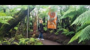 Прогулка в Ботаническом саду Глазго. A walk in the Glasgow Botanic Garden.Scotland