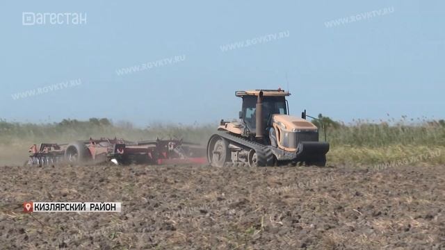 В Дагестане увеличат посевные площади для риса смотреть онлайн