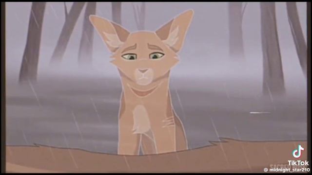 Коты-Воители /Вот и раскрыто все\ смотреть онлайн