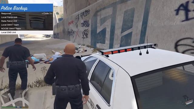CODE 3 CODE 4 CALLOUT GONE BAD (LSPDFR) смотреть онлайн