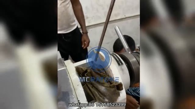 High Oil Output ZX 85 Oil Press Commercial &homeuse  Customer Feedback