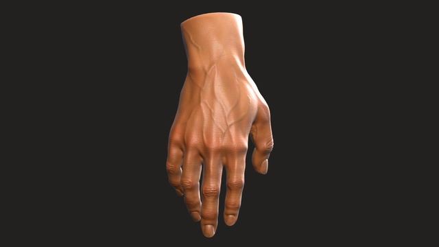 Man Hand - Study - ZBrush turntable - 4K Res смотреть онлайн