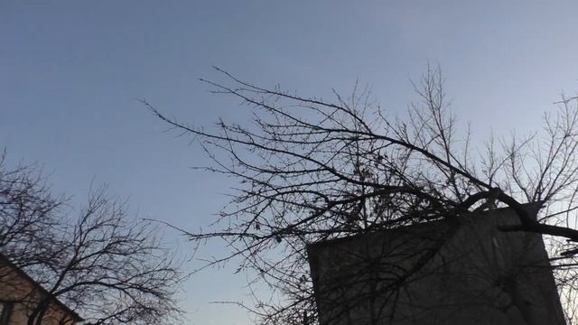 Шымкент. Вороны пролетают над городом смотреть онлайн
