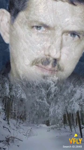 Белым снегом смотреть онлайн