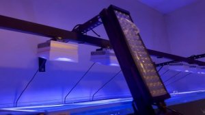 Новая конструкция и новые лампы на досвет 💡 | Морской аквариум на 1000 литров 🐳