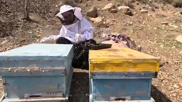 05.04.2024 Мед, дерево и независимость День открытий для матери-одиночки смотреть онлайн