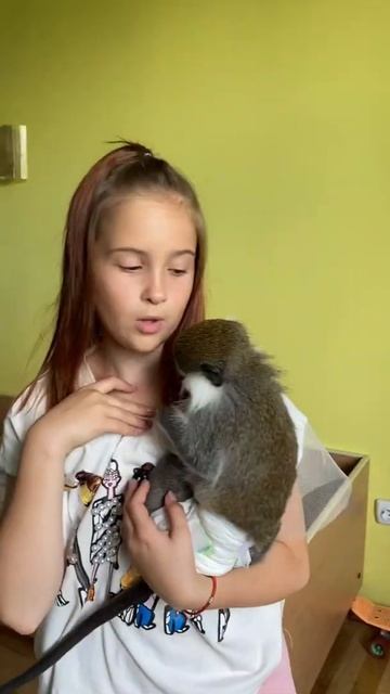 Рікі кицюш❤️Скільки в ньому ніжності😮 смотреть онлайн