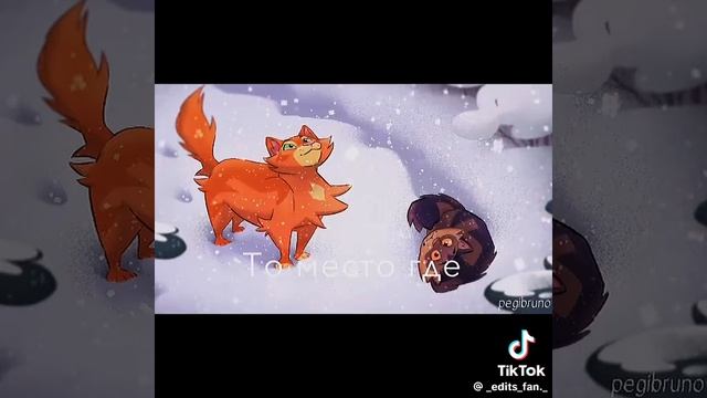 Самые уютные коты-воители смотреть онлайн