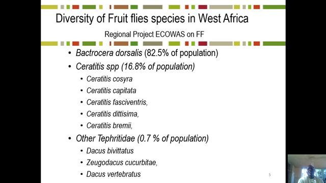 Biology of Fruit flies смотреть онлайн