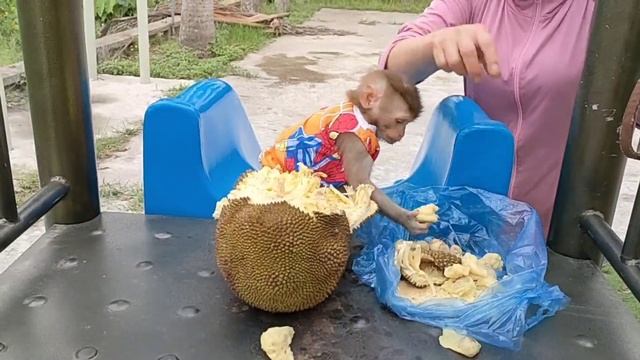 Mom let Monkey Mun and Monkey Bobo go to the amusement park near the house. смотреть онлайн