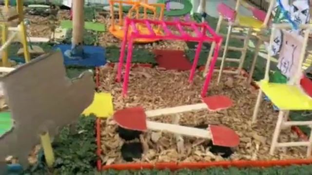 Playground Designs - 2009 смотреть онлайн