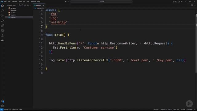 5. Demo Custom Servers смотреть онлайн