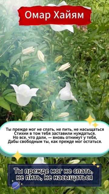 🙏 Ты прежде мог не спать, не пить, не насыщаться - стихи Омар Хайям #shorts смотреть онлайн