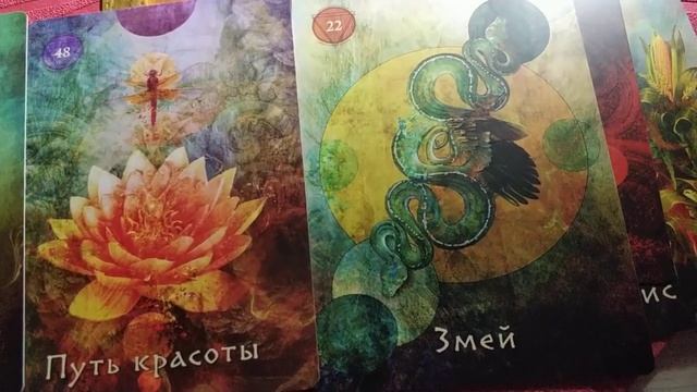 Активация помощи из Верхнего Мира,с помощью оракула Шамана-Мистика! смотреть онлайн