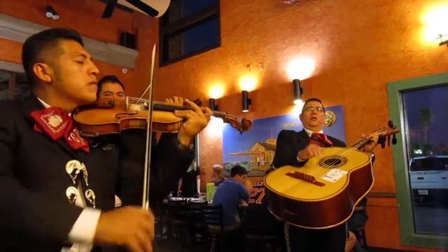 (10-11-2017) @ Salsa's смотреть онлайн