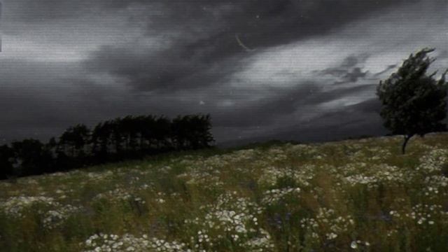 🌿 Надо Поле Притоптать (밭을 밟아야 한다) [Slow + Reverb + Bass]🌿 by Sun смотреть онлайн