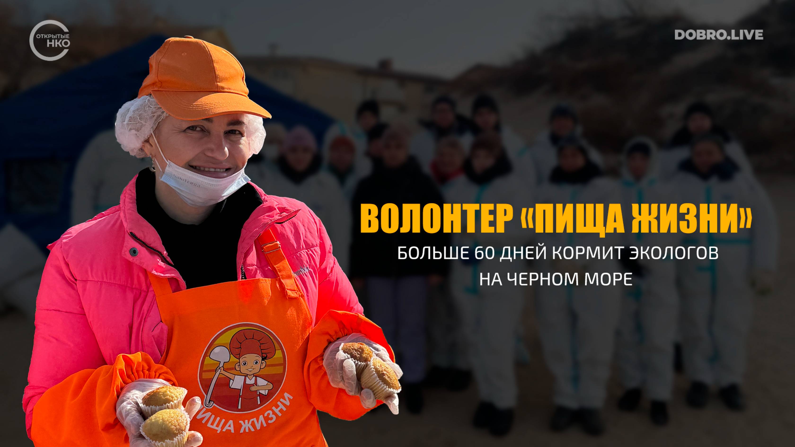 Жительница Волгограда больше 60 дней кормит экологов на Черном море смотреть онлайн