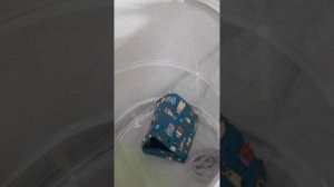 домик для стрижа.