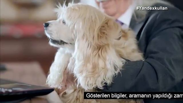 Haydar Dümen Yandex Reklam Filmi смотреть онлайн