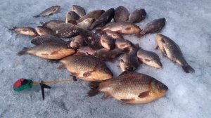 Зимняя рыбалка на карася.