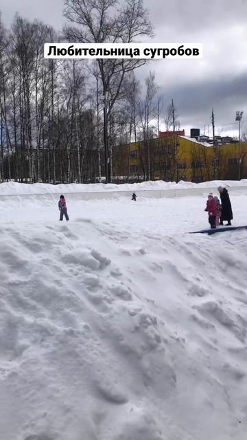 #лабрадор #собака #лабрадорретривер #щенок #влог смотреть онлайн
