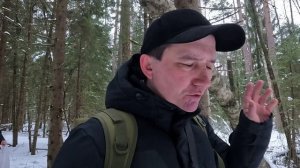 Поход в лес, март, масленница, мистика, фотоловушка,