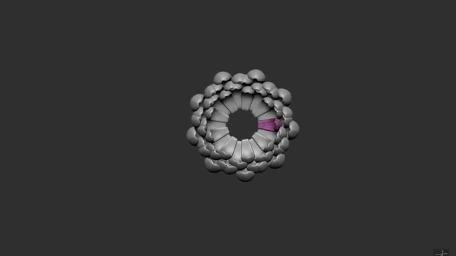 [Zbrush] ArrayMesh - Gerbera смотреть онлайн