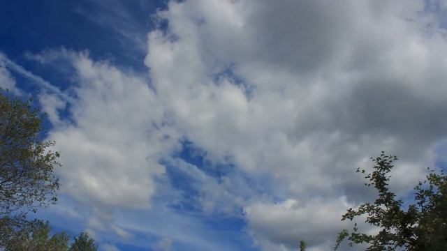 Рассвет - день - закат со звуками птиц смотреть онлайн