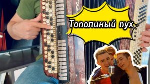 "Тополиный пух" УЧИМСЯ ИГРАТЬ НА БАЯНЕ /Для новичков/