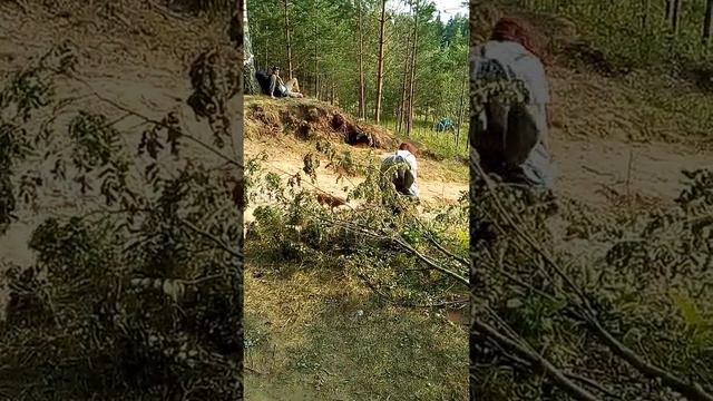 Как платить за вход на gabbafest смотреть онлайн