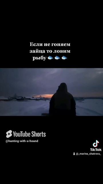 Если не гоняем зайца то ловим рыбу 🐟 🐟 🐟. #рыбалка #fishing #щука#охотасгончей #топ #hunting #tro смотреть онлайн