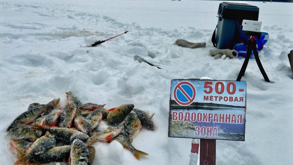 Первый день весны/Рыба есть. смотреть онлайн