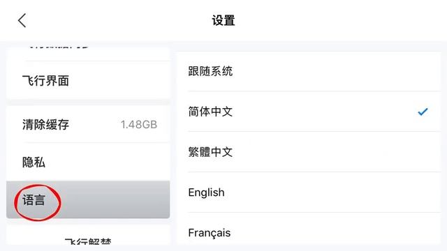 DJI FLY APP - CHANGE THE LANGUAGE TO ENGLISH смотреть онлайн