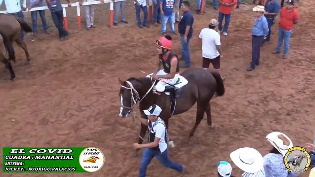 La Camioneta gris vs El Cocodrilo va El Covid-Carril La Soledad race track смотреть онлайн