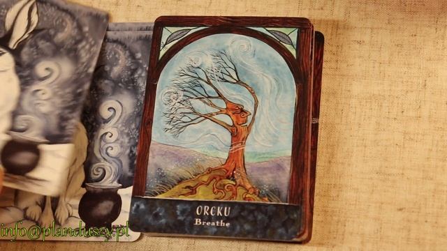 White Hare Wisdom - pierwsze spotkanie смотреть онлайн