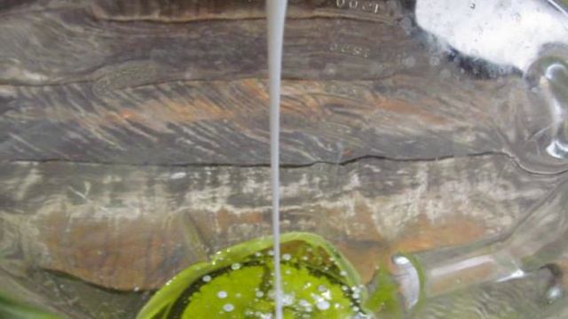 Рецепты от шеф-повара