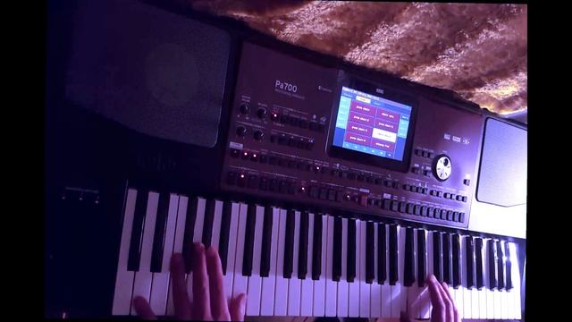 Self Control - 80s Disco style KORG PA700 смотреть онлайн
